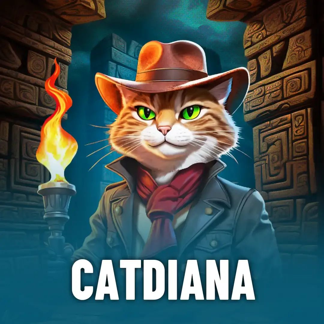 Qual o melhor horário para jogar aviator
