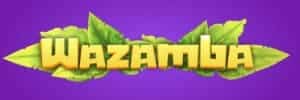 Mz fm